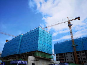 期待已久的青春里將于7月10 19日限量發(fā)售vip認(rèn)籌卡,7月21日盛大開盤