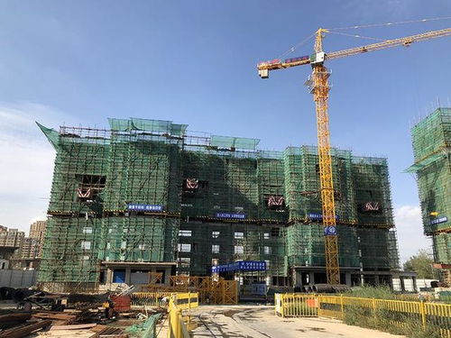 瑞海 國府大院9月11日最新工程進(jìn)度播報(bào)