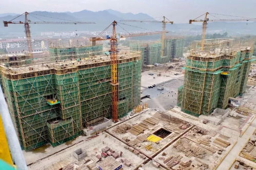 建筑工程質(zhì)量潛在缺陷保險(xiǎn) idi ,國際和國內(nèi)情況